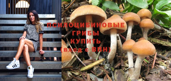 jwh Абинск